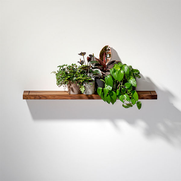 Wandregal NUSSBAUM 01